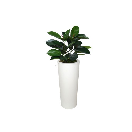 Planta semi-artificiala Ila, Ficus Elastica Bush Green - 110 cm